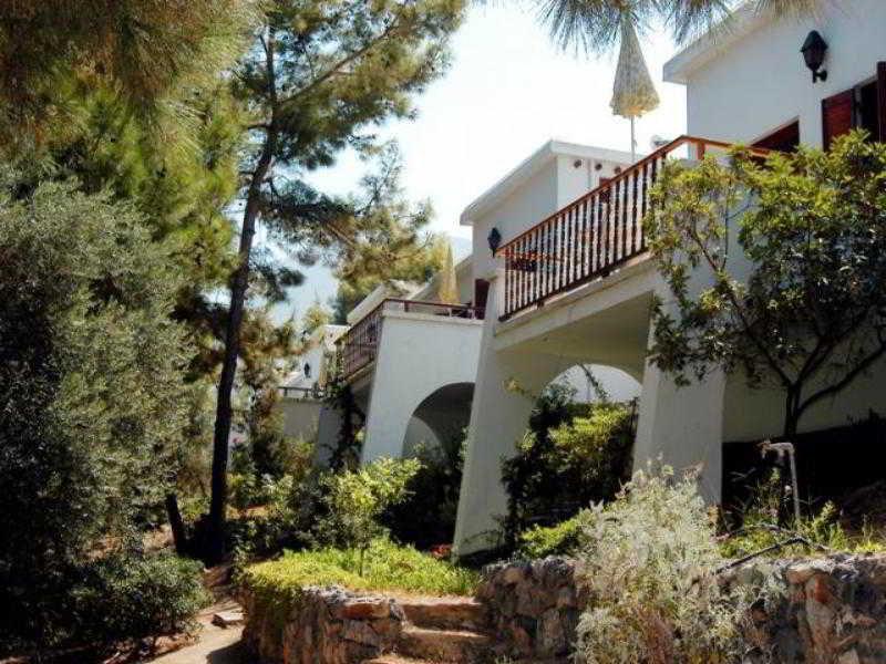 Onar Village كيرينيا المظهر الخارجي الصورة